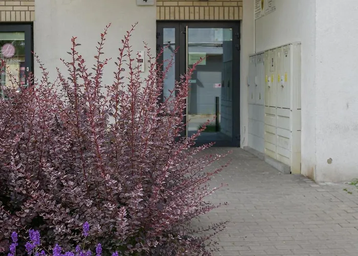 Legnicka アパート